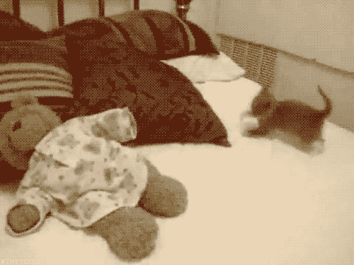 tumblr_inline_mp0wyqda5H1qz4rgp